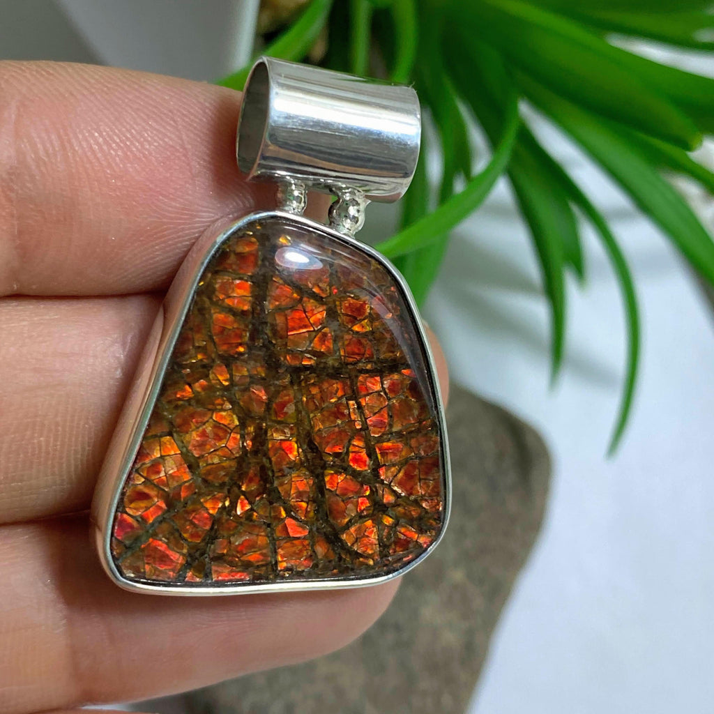 Fiery Red Flash Ammolite Pendant in Sterling Silver (Includes Silver Chain) - Earth Family Crystals