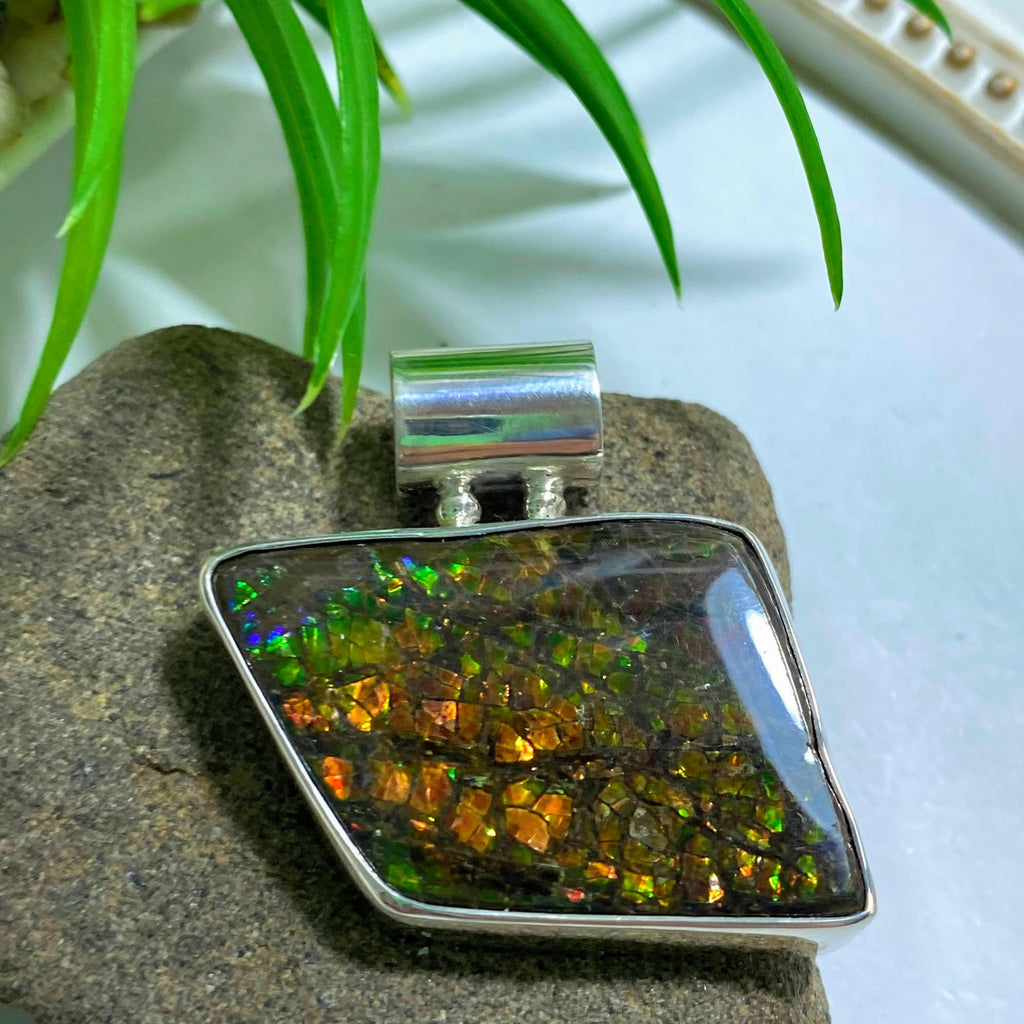Pretty Flashes Ammolite Pendant in Sterling Silver (Includes Silver Chain) - Earth Family Crystals