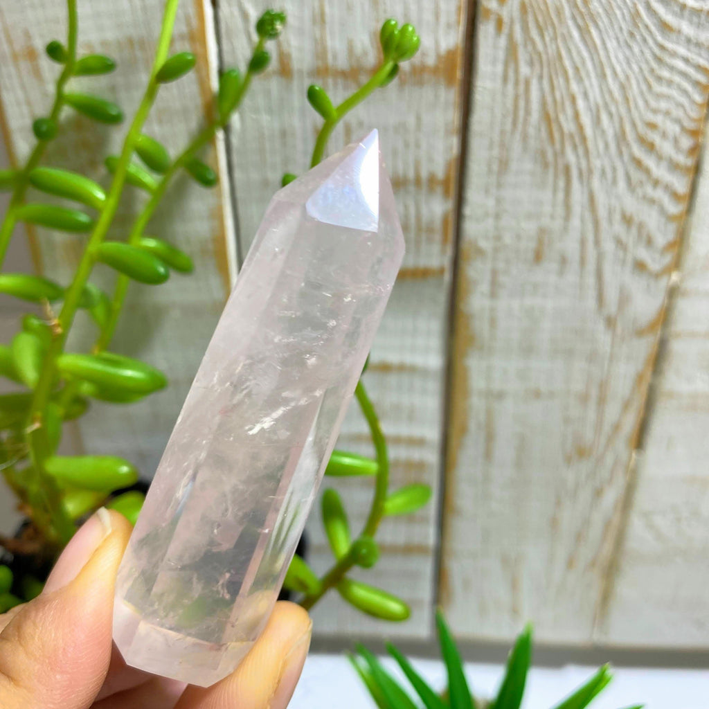 Gemmy Light Pink Rose Quartz Standing Display Point - Earth Family Crystals