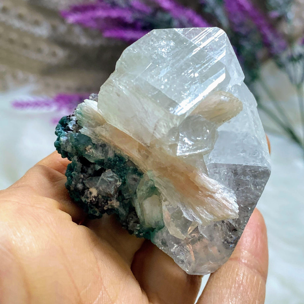 Brilliant  Gemmy Clear Apophyllite & Stilbite Cluster ~Locality India - Earth Family Crystals