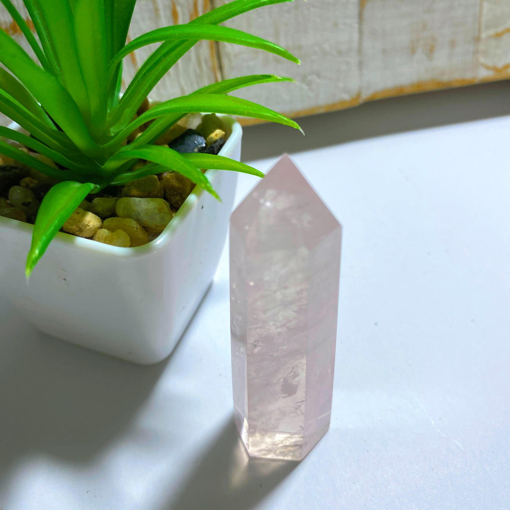 Gemmy Light Pink Rose Quartz Standing Display Point - Earth Family Crystals