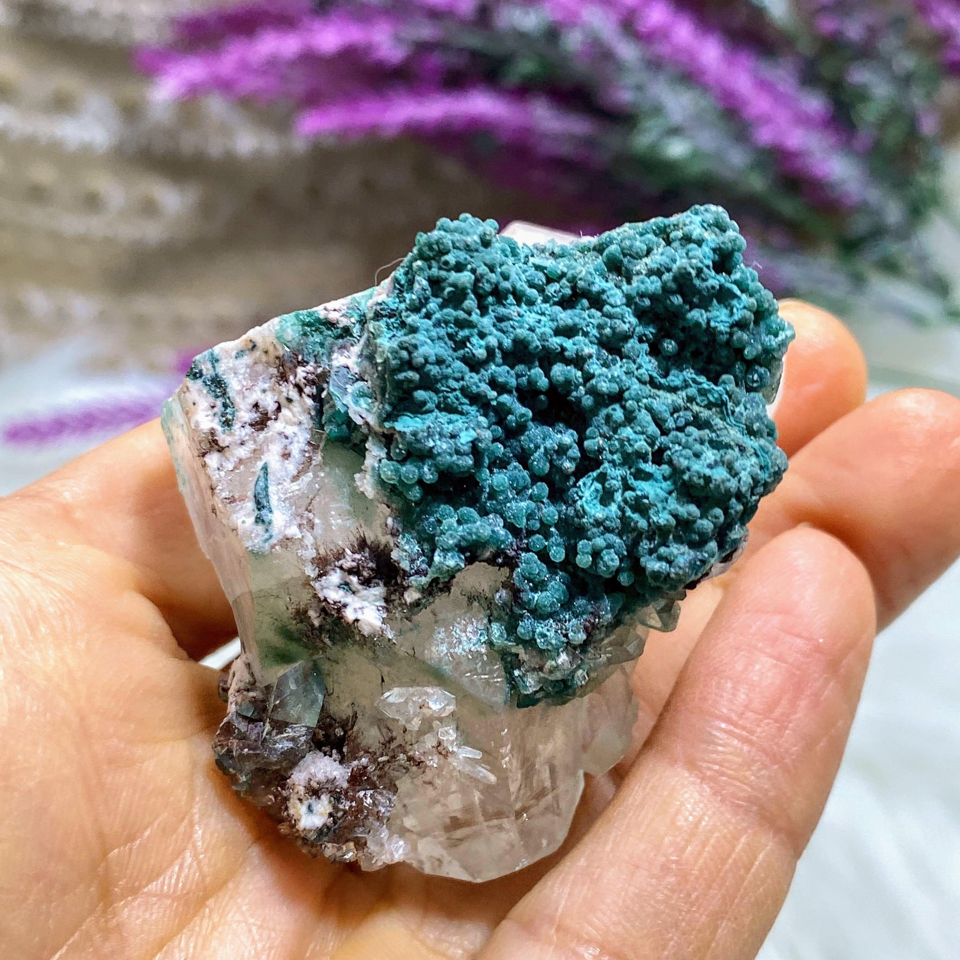 Brilliant  Gemmy Clear Apophyllite & Stilbite Cluster ~Locality India - Earth Family Crystals