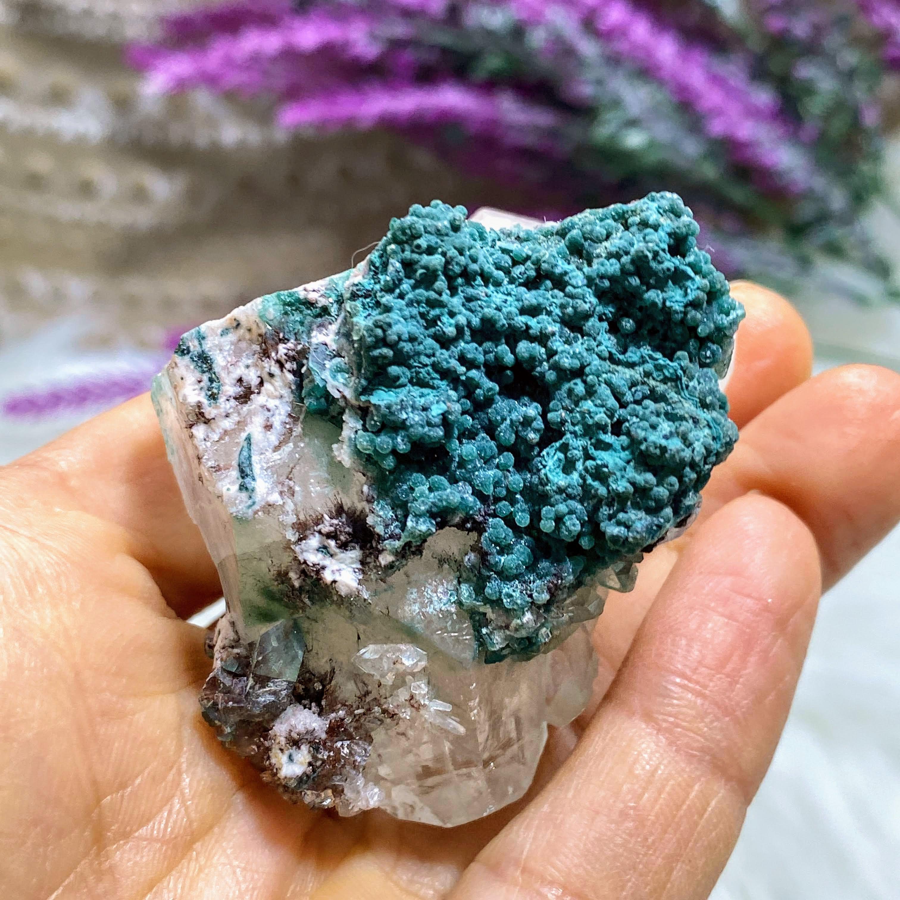 Brilliant  Gemmy Clear Apophyllite & Stilbite Cluster ~Locality India - Earth Family Crystals
