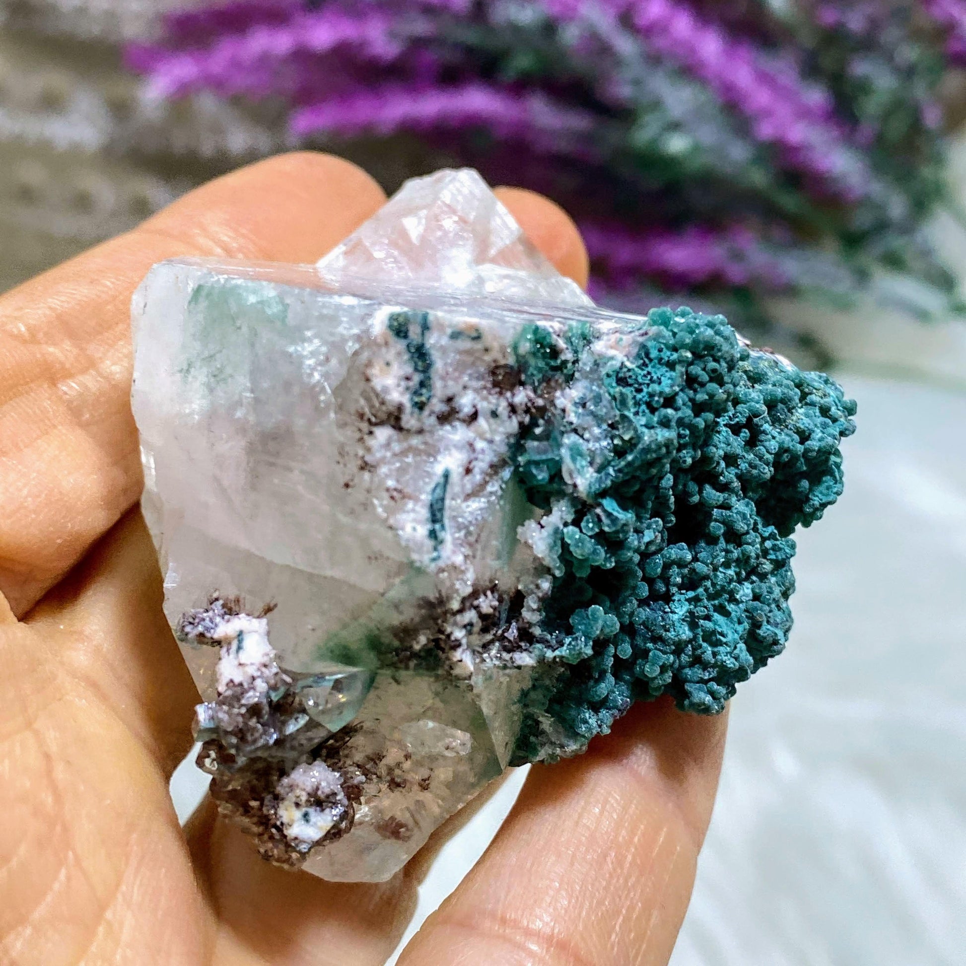 Brilliant  Gemmy Clear Apophyllite & Stilbite Cluster ~Locality India - Earth Family Crystals