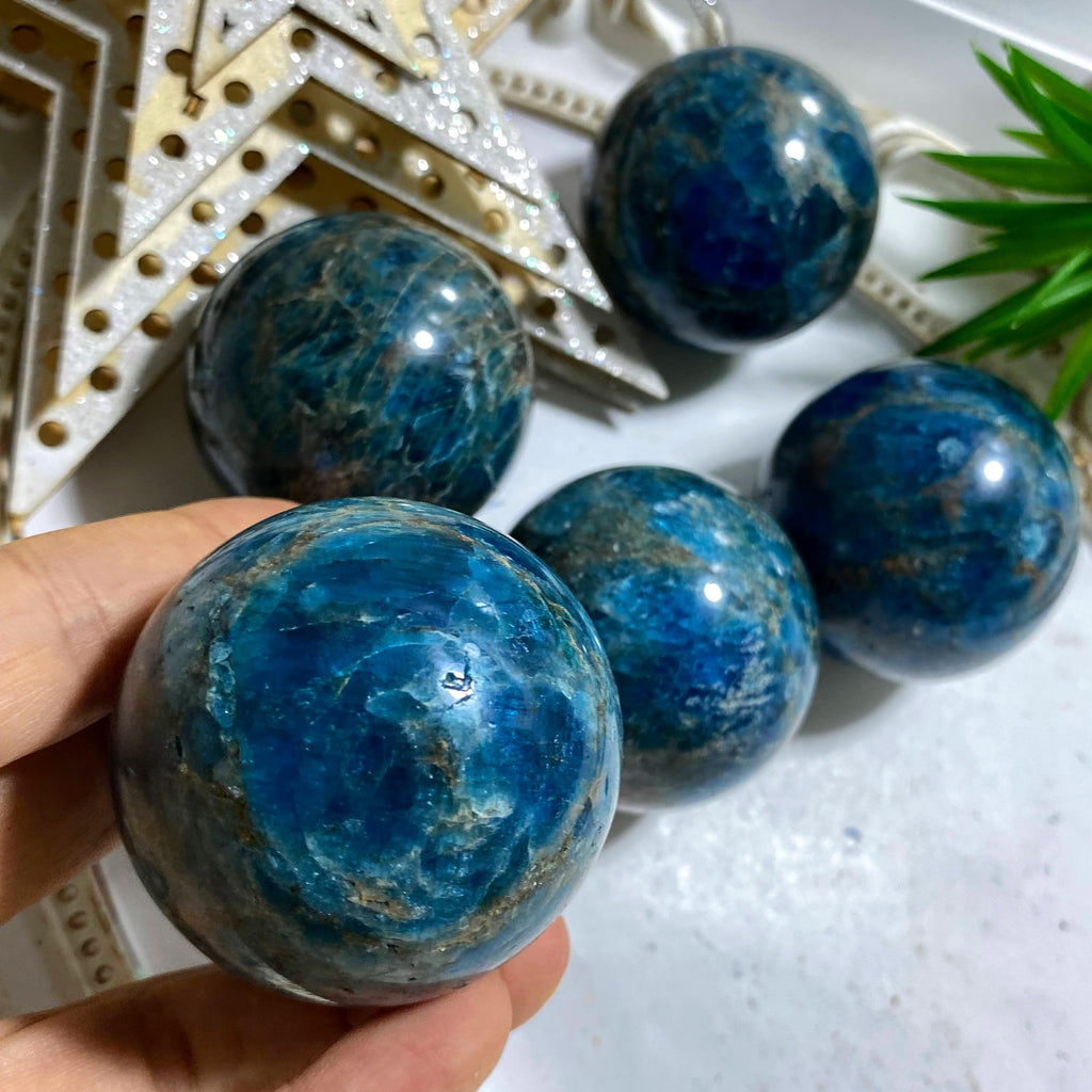 One Blue Apatite Medium Sphere  (Includes Wood Stand) - Earth Family Crystals