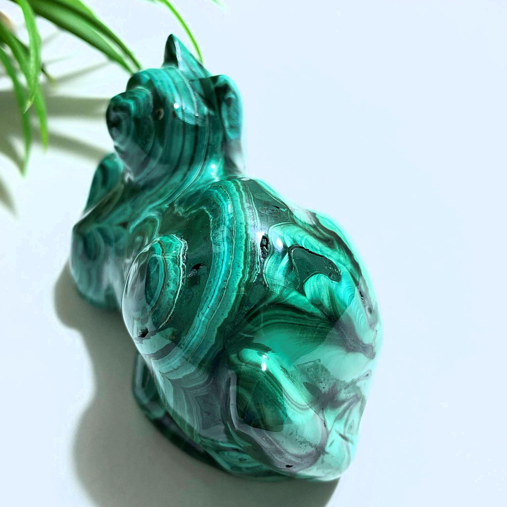 Swirling Green Malachite Large Cat Display Carving - Earth Family Crystals