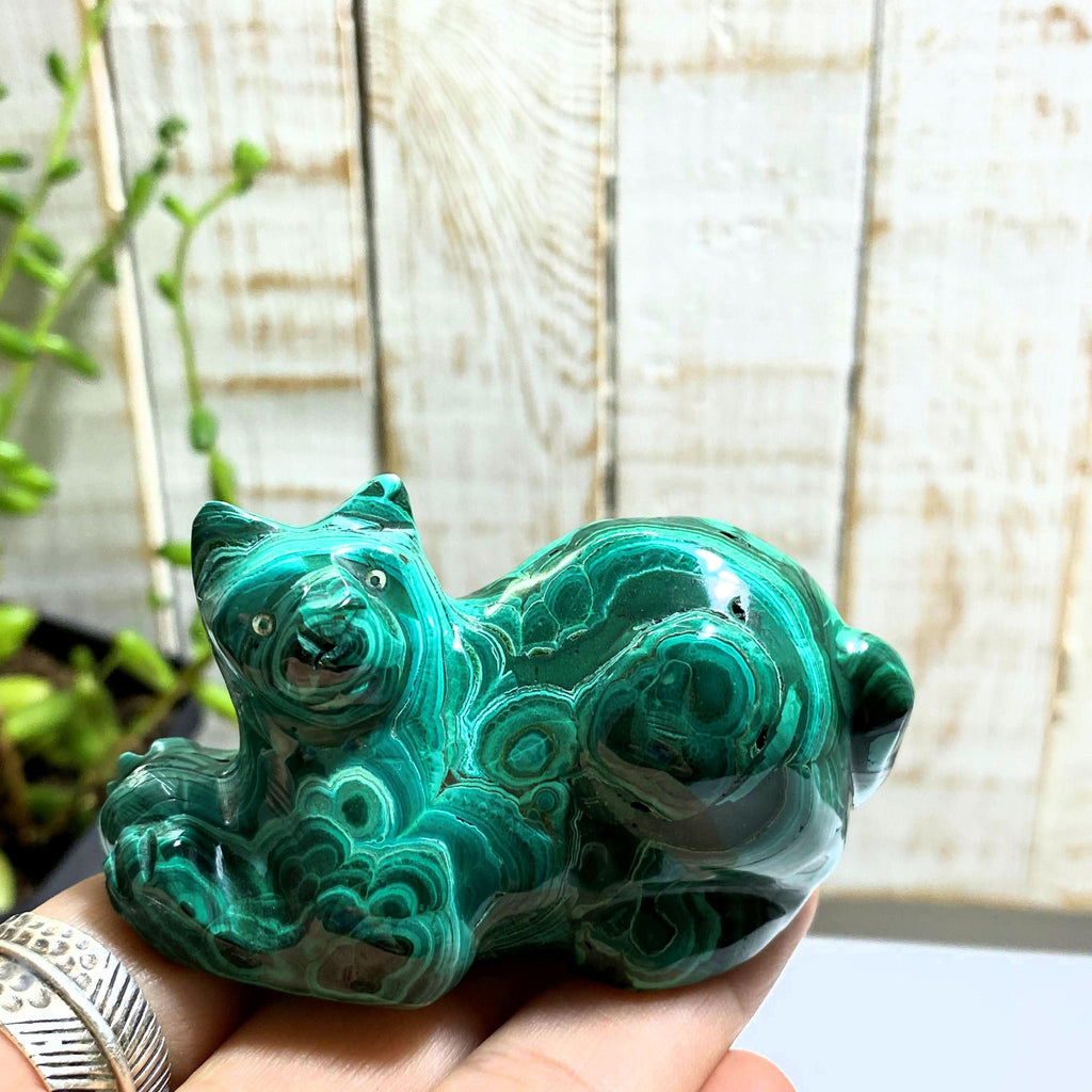 Swirling Green Malachite Large Cat Display Carving - Earth Family Crystals