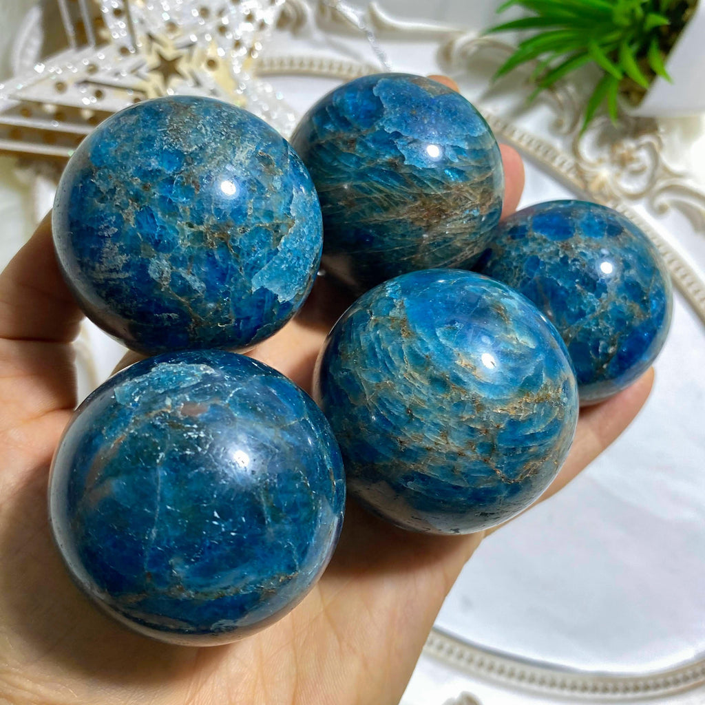 One Blue Apatite Medium Sphere  (Includes Wood Stand) - Earth Family Crystals