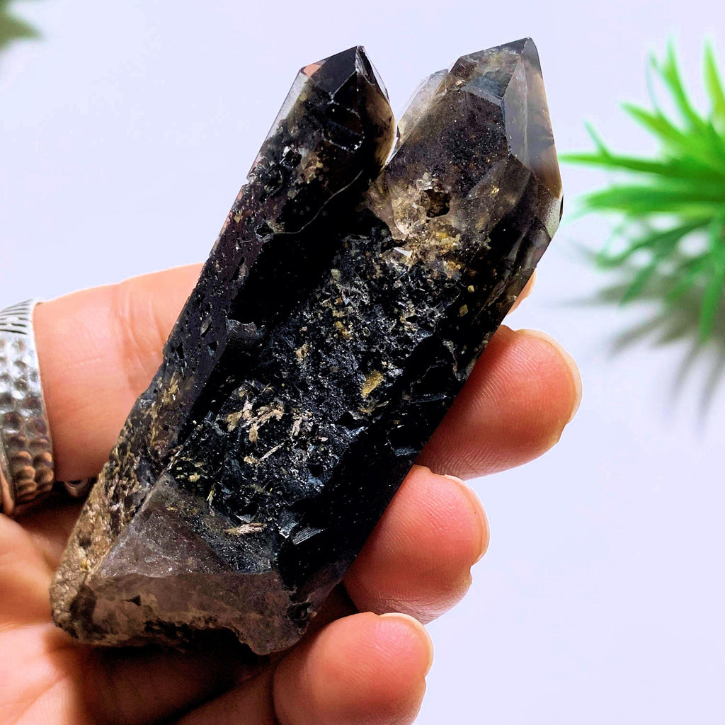 Natural Morion Smoky Quartz Specimen~Locality Namibia - Earth Family Crystals