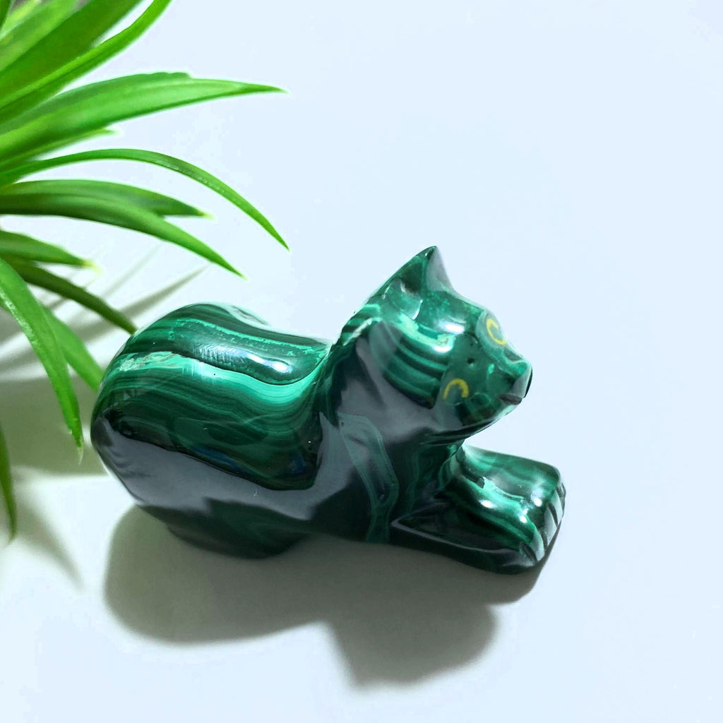 Cute Green Malachite Cat Display Carving #1 - Earth Family Crystals