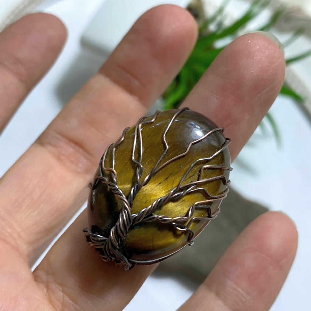 Chunky Tiger Eye Tree of Life Wire Wrapped Adjustable Ring (Size 8-9) - Earth Family Crystals