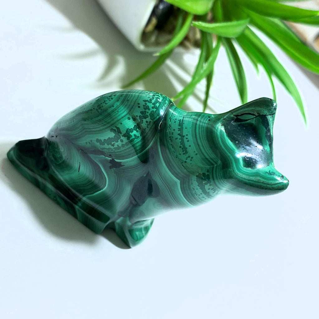 Cute Green Malachite Cat Display Carving #2 - Earth Family Crystals