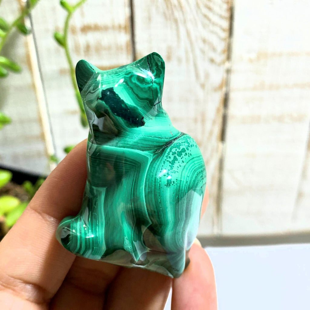 Cute Green Malachite Cat Display Carving #2 - Earth Family Crystals
