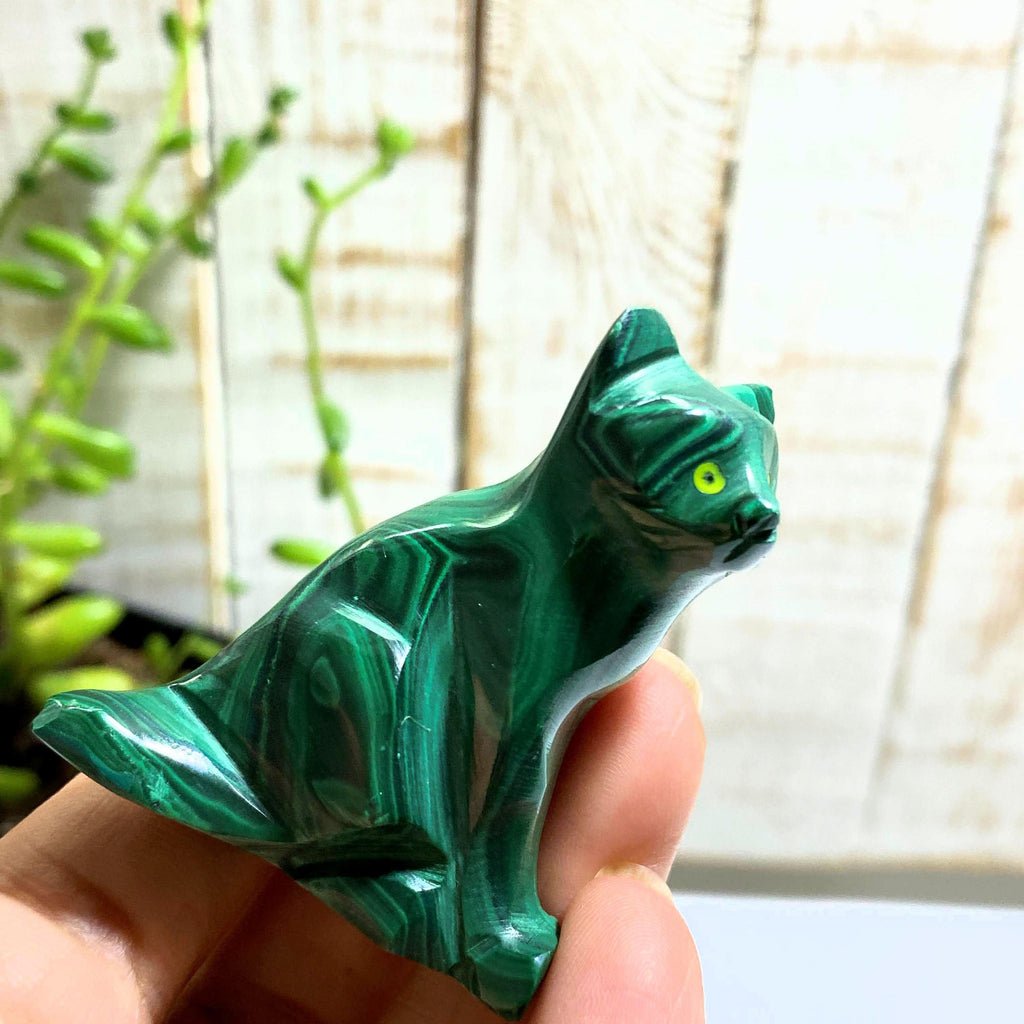 Cute Green Malachite Cat Display Carving #3 - Earth Family Crystals
