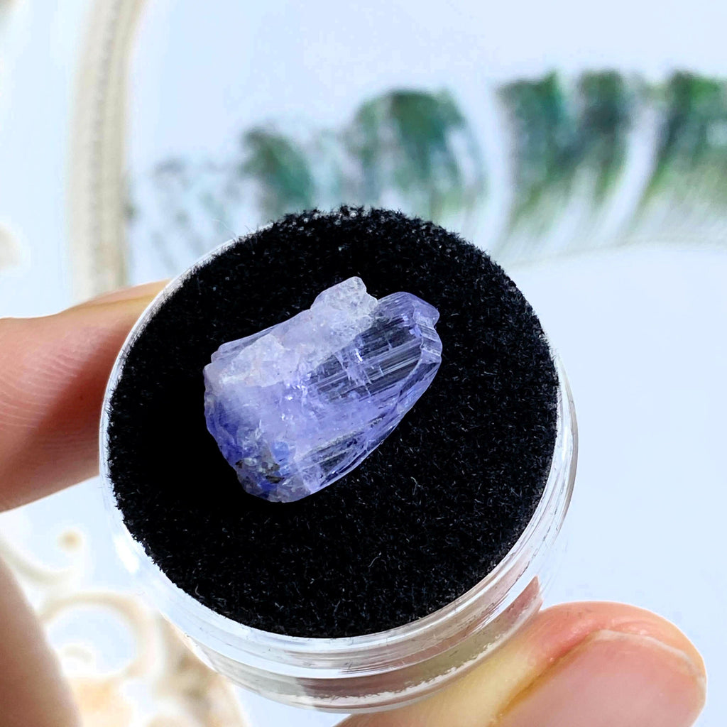 6 CT Terminated Gemmy Natural Tanzanite Specimen in Collectors Box - Earth Family Crystals