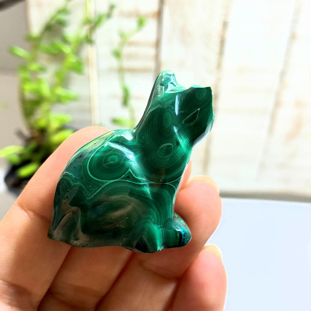 Green Malachite Small Cat Display Carving *REDUCED* - Earth Family Crystals