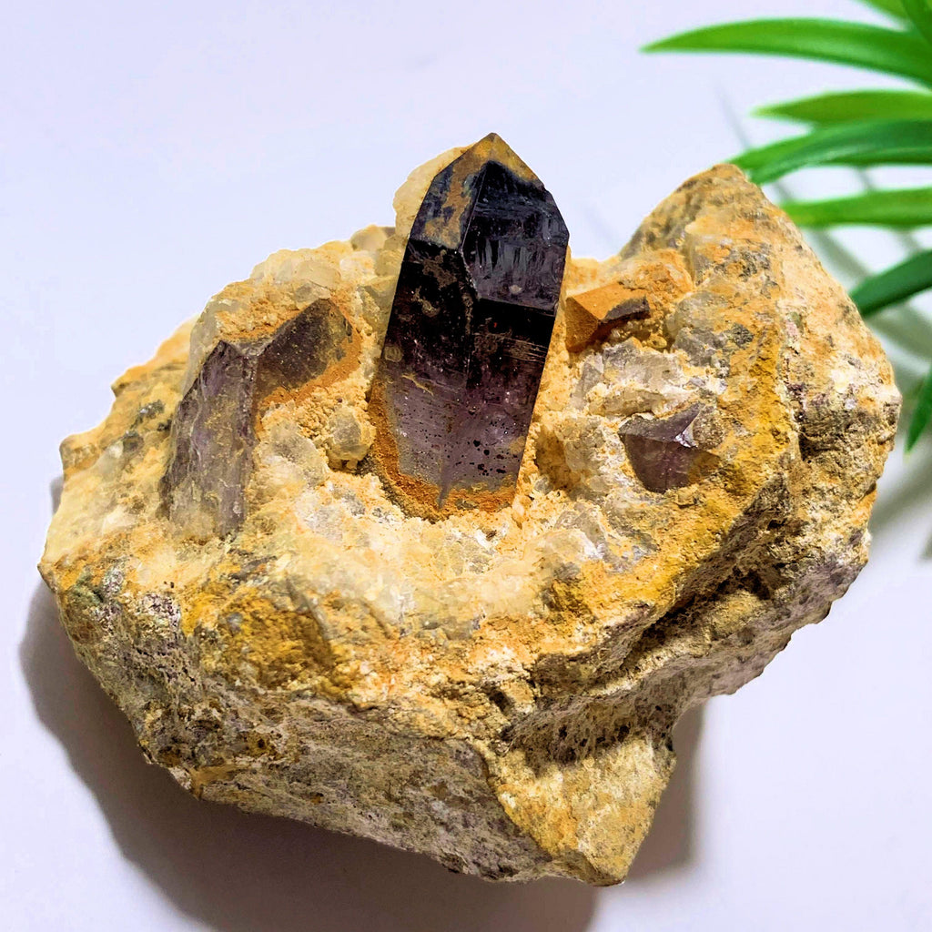 Deep Purple Brandberg Amethyst Point Nestled in Quartz Matrix From Namibia - Earth Family Crystals