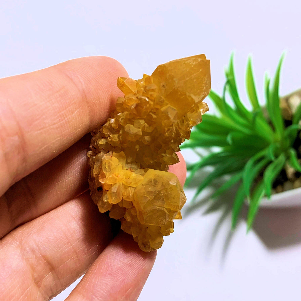 Citrine Spirit Quartz Natural Cluster from S.Africa - Earth Family Crystals