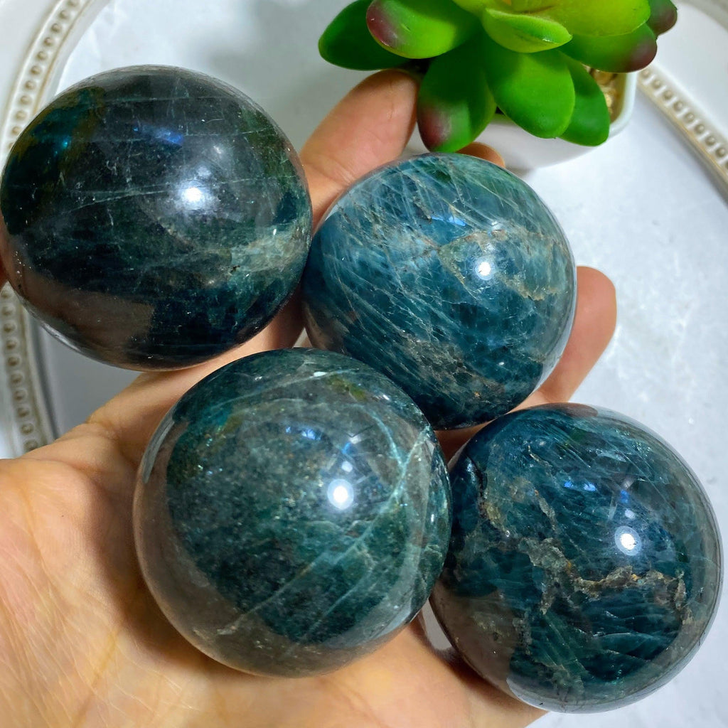One Green Apatite Medium Sphere Carving (Includes Wood Stand) - Earth Family Crystals