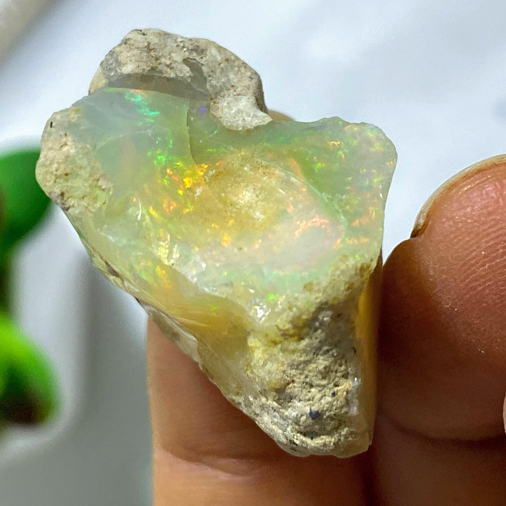 36.5CT High Grade Mega Flash! Natural Ethiopian Opal Collectors Specimen - Earth Family Crystals