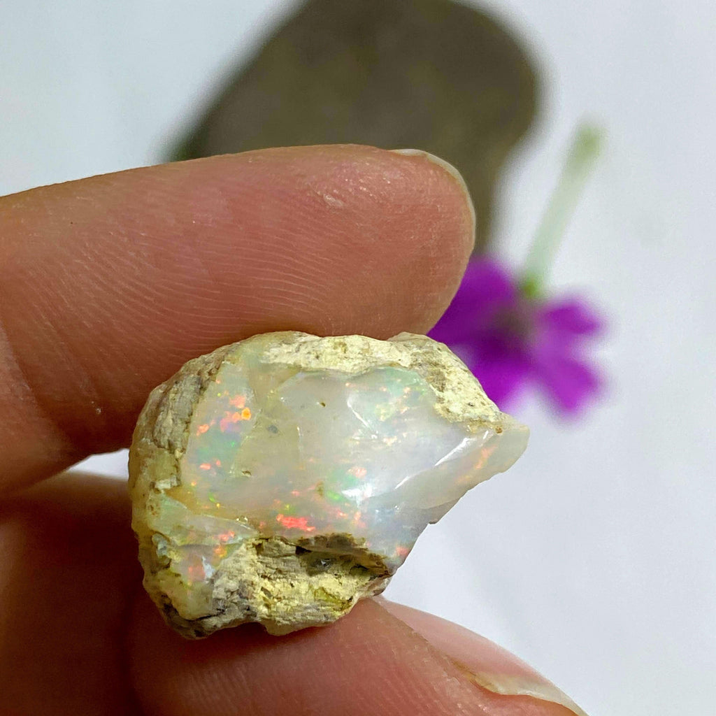 15 CT Rough Flashy Ethiopian Opal Collectors Specimen - Earth Family Crystals