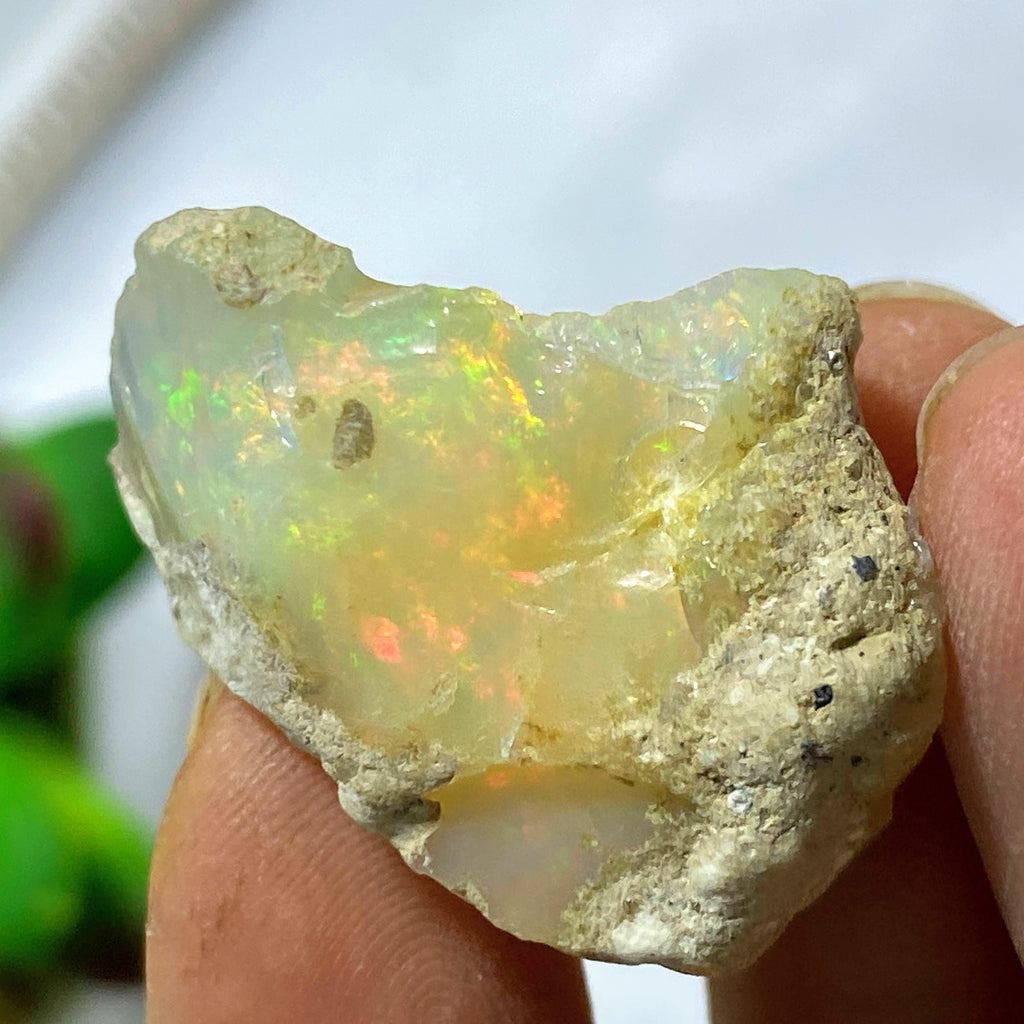 36.5CT High Grade Mega Flash! Natural Ethiopian Opal Collectors Specimen - Earth Family Crystals