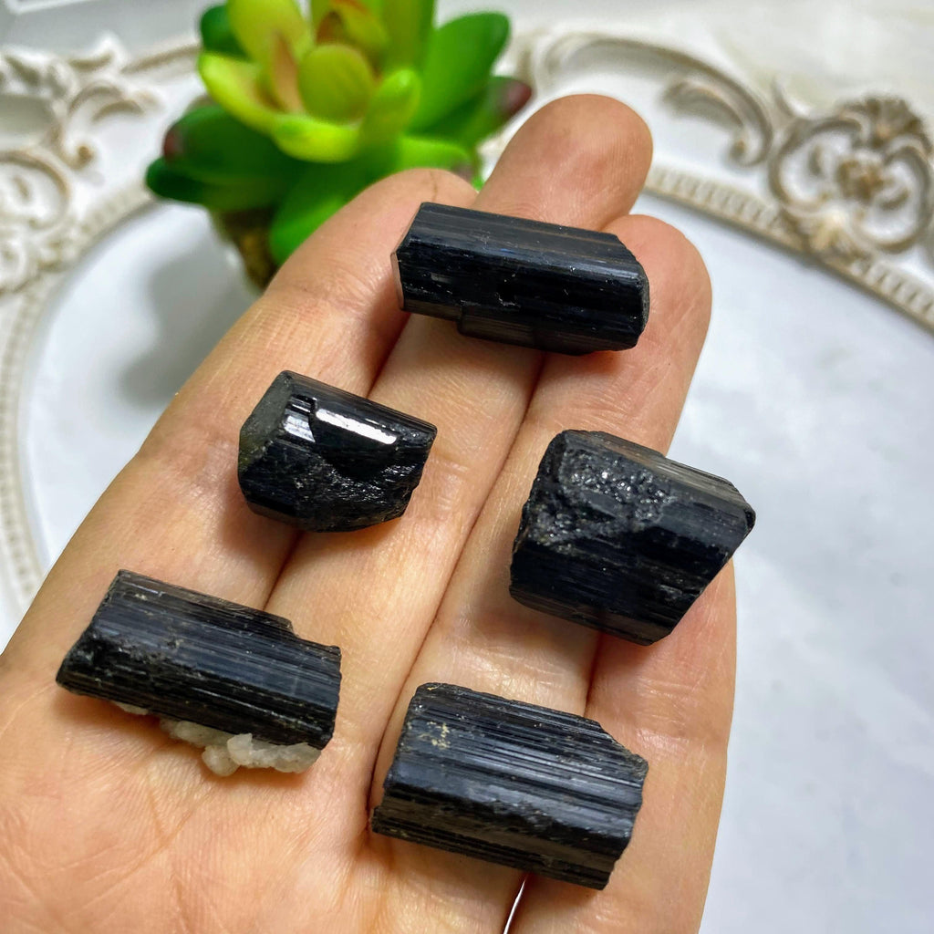 Set of 5~ Natural Black Tourmaline Points ~Perfect for the Pocket! - Earth Family Crystals