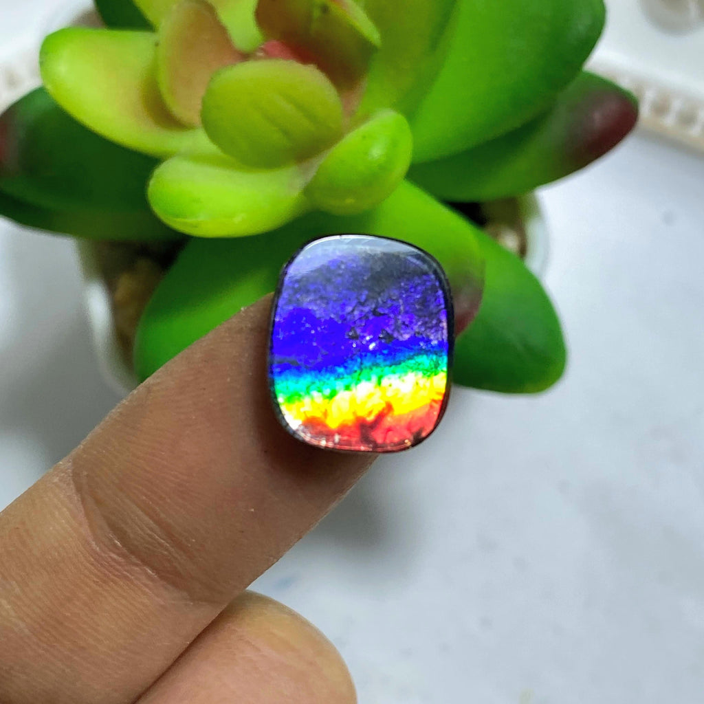 Reserved For Sandy Rare Midnight Purple Flashes & Rainbows Alberta Ammolite Dainty Cabochon (Quartz Capped) - Earth Family Crystals