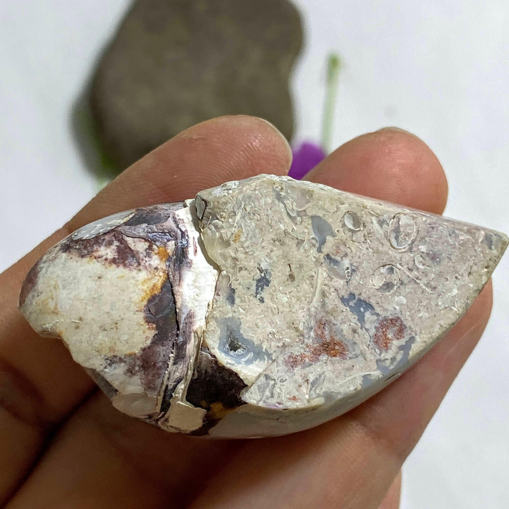 Rare Shimmering Spiralite Gemshell Specimen From India - Earth Family Crystals