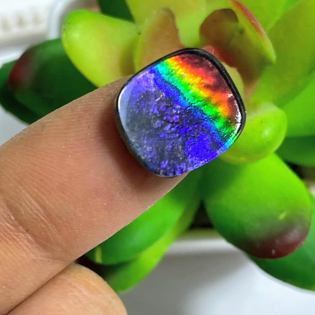 Reserved For Sandy Rare Midnight Purple Flashes & Rainbows Alberta Ammolite Dainty Cabochon (Quartz Capped) - Earth Family Crystals