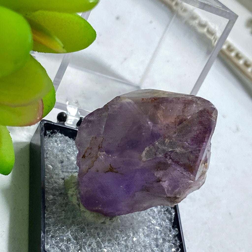 Rare Locale Terminated Amethyst Point from 4 Peaks, Arizona in Collectors Box - Earth Family Crystals