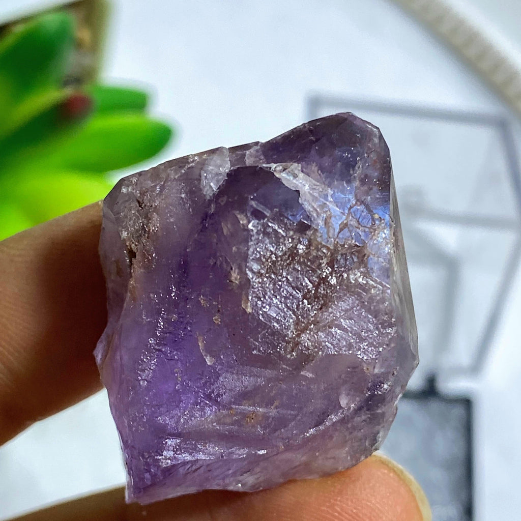 Rare Locale Terminated Amethyst Point from 4 Peaks, Arizona in Collectors Box - Earth Family Crystals