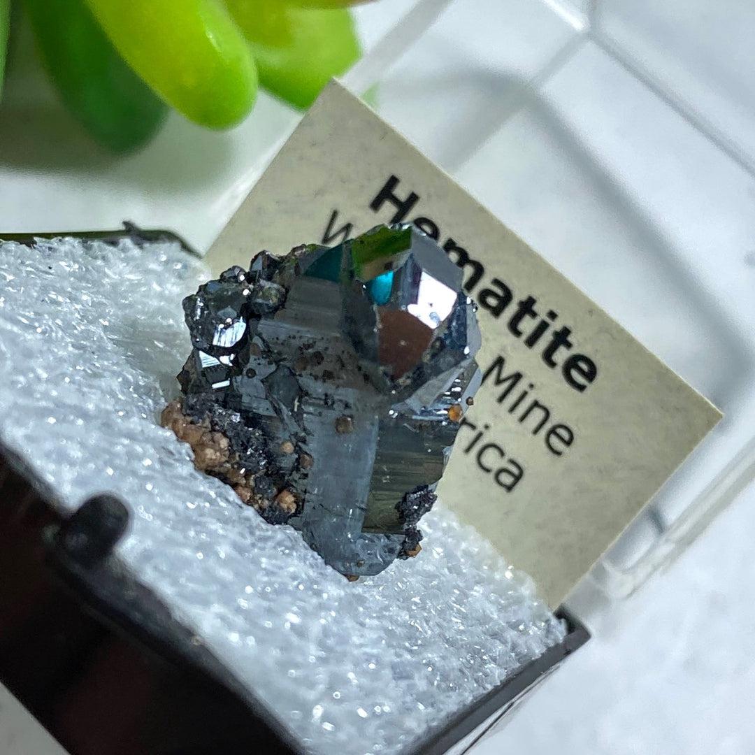 Rare Natural Terminated Hematite Crystal In Collectible Box ~Locality: Wessels Mine, South Africa - Earth Family Crystals