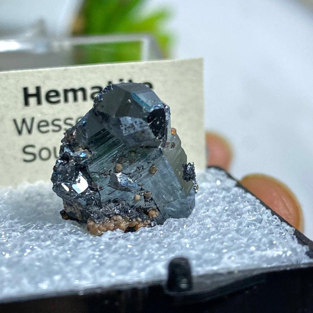 Rare Natural Terminated Hematite Crystal In Collectible Box ~Locality: Wessels Mine, South Africa - Earth Family Crystals