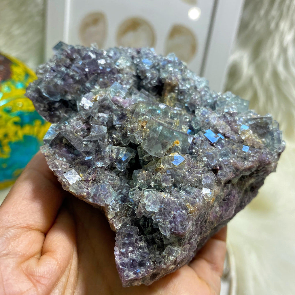 Color Changing Large Blue & Purple Gemmy Fluorite Specimen From Namibia - Earth Family Crystals
