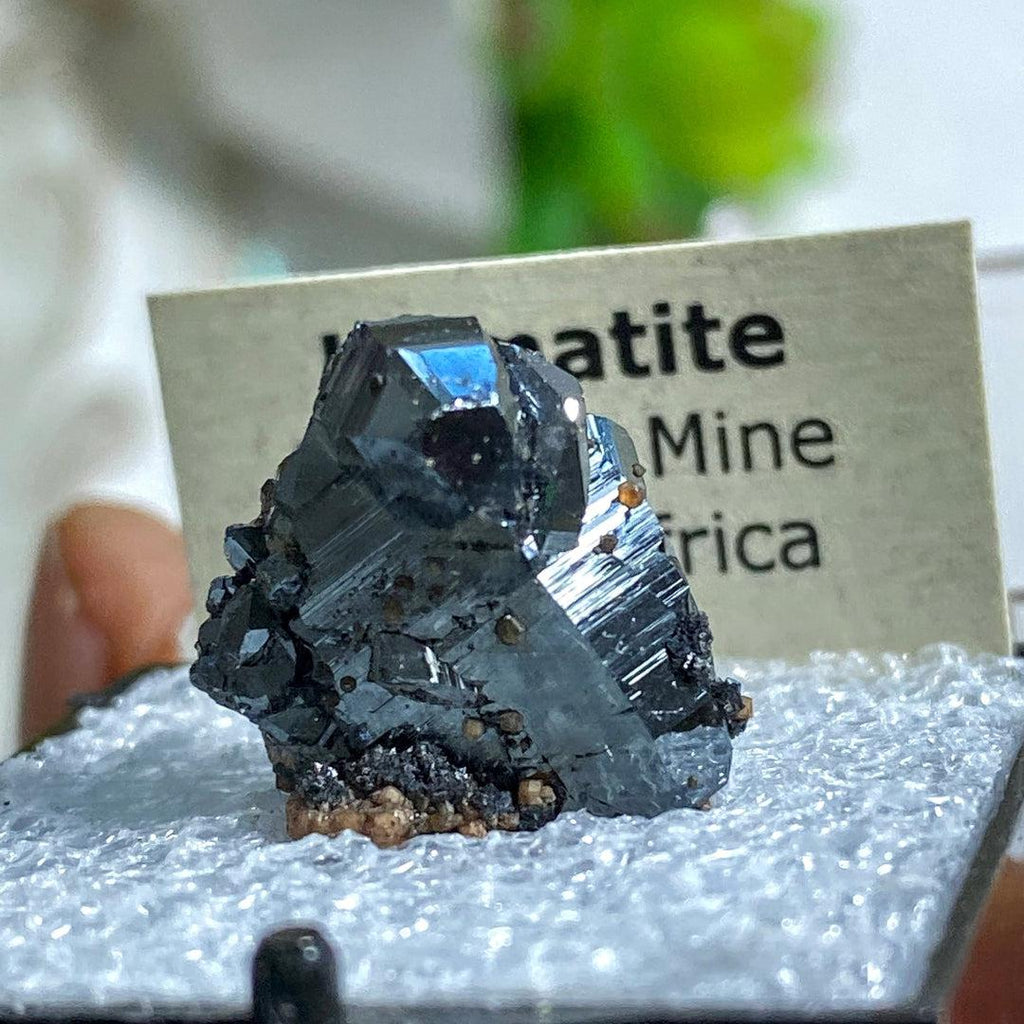 Rare Natural Terminated Hematite Crystal In Collectible Box ~Locality: Wessels Mine, South Africa - Earth Family Crystals