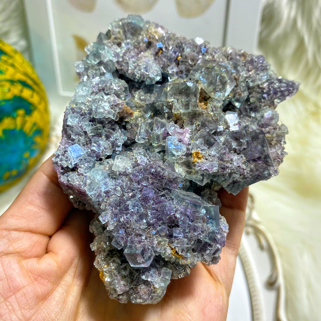 Color Changing Large Blue & Purple Gemmy Fluorite Specimen From Namibia - Earth Family Crystals