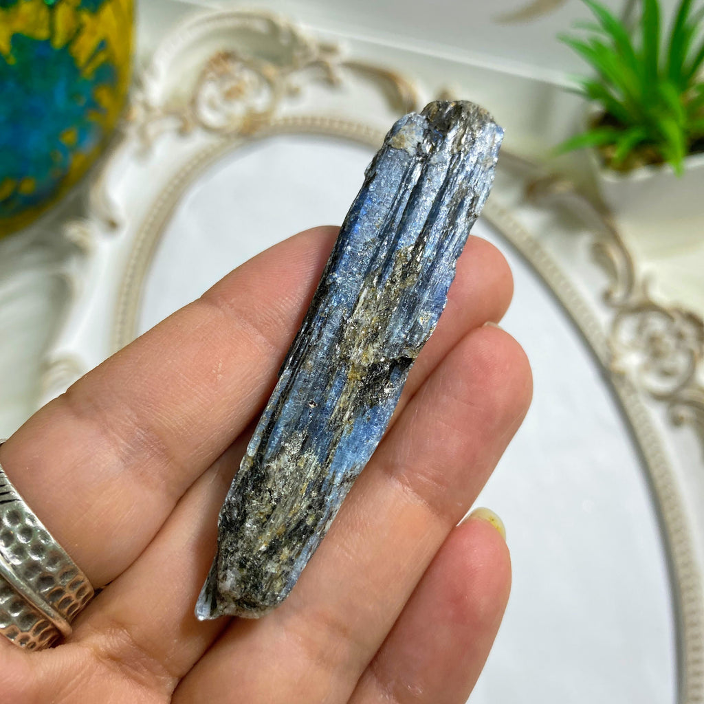 Gemmy Blue Kyanite Natural  Point ~Locality Zimbabwe #1 - Earth Family Crystals