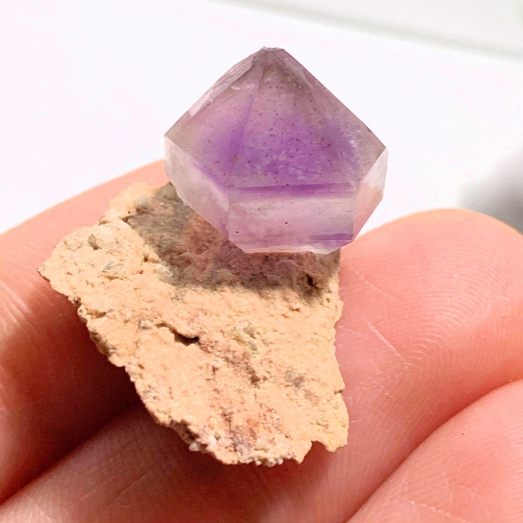 Rare Find! Natural Terminated Amethyst on Rock Matrix Dainty Specimen From Russia #1 - Earth Family Crystals