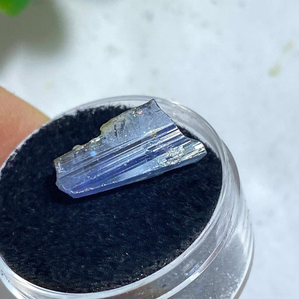 9 CT Terminated Gemmy Natural Tanzanite Specimen in Collectors Box - Earth Family Crystals