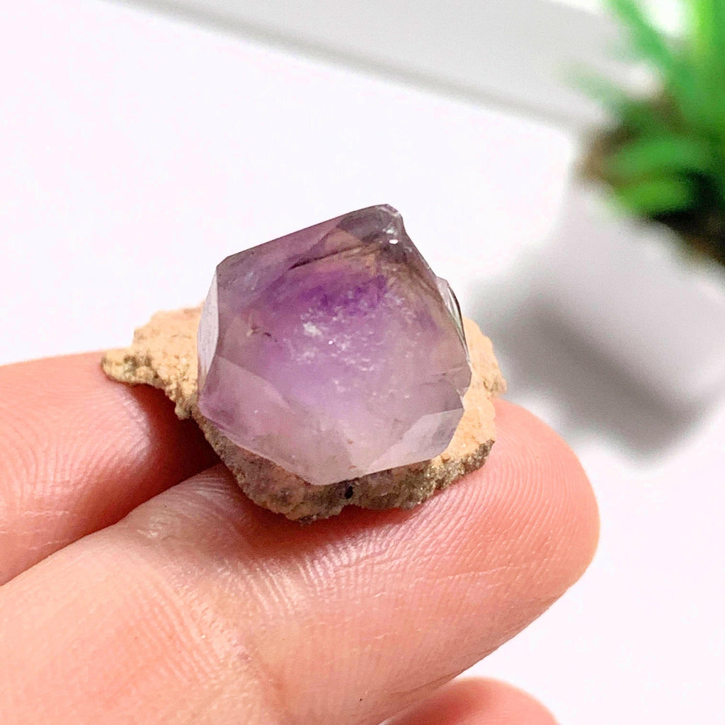 Rare Find! Natural Terminated Amethyst on Rock Matrix Dainty Specimen From Russia #1 - Earth Family Crystals