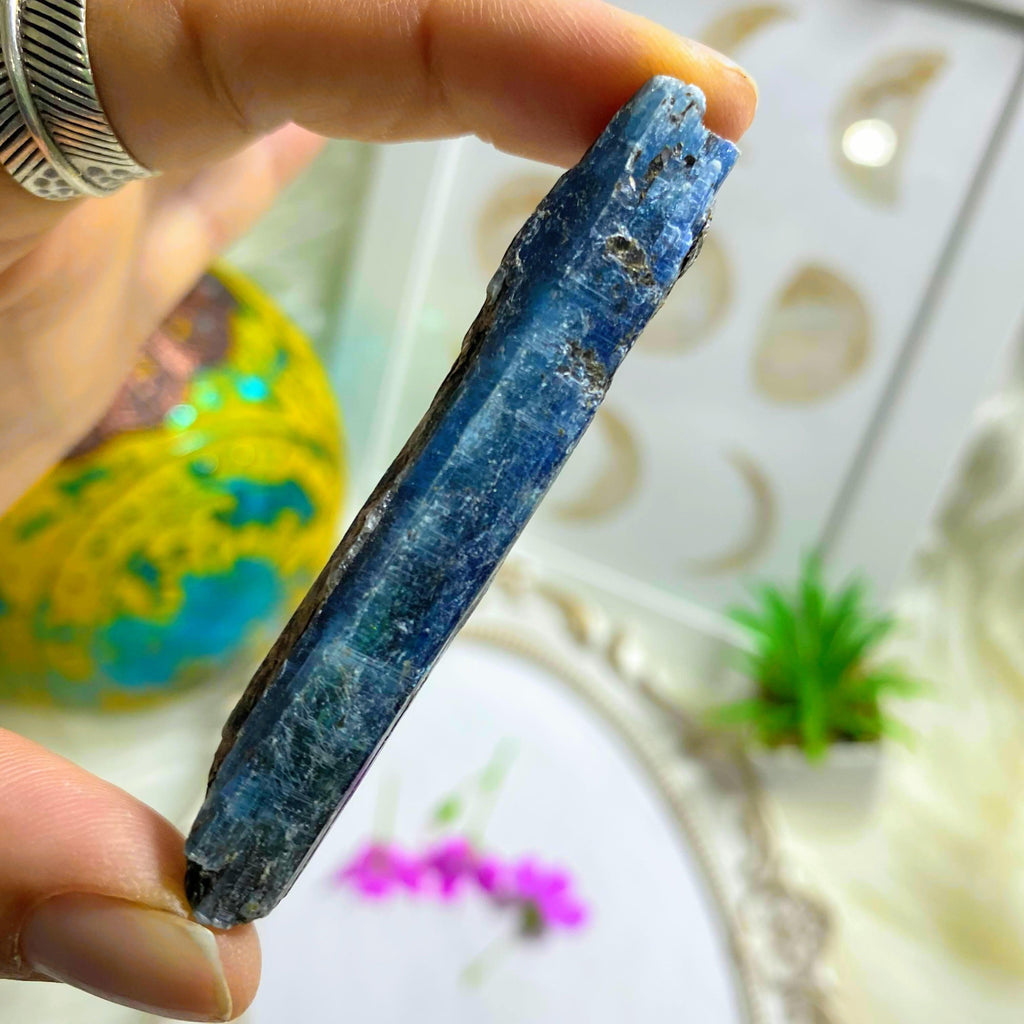 High Grade Gemmy Blue Kyanite Natural  Point ~Locality Zimbabwe #2 - Earth Family Crystals
