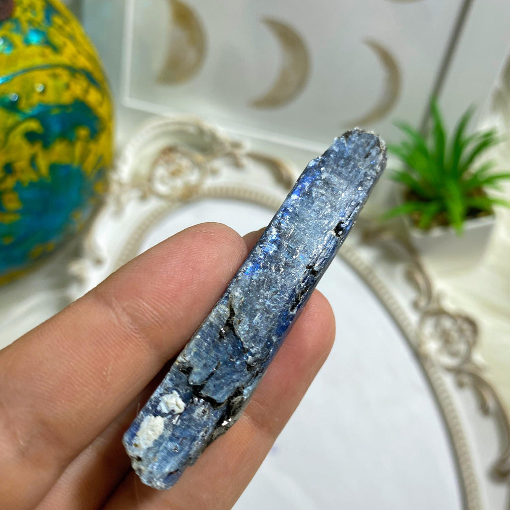 High Grade Gemmy Blue Kyanite Natural  Point ~Locality Zimbabwe #3 - Earth Family Crystals