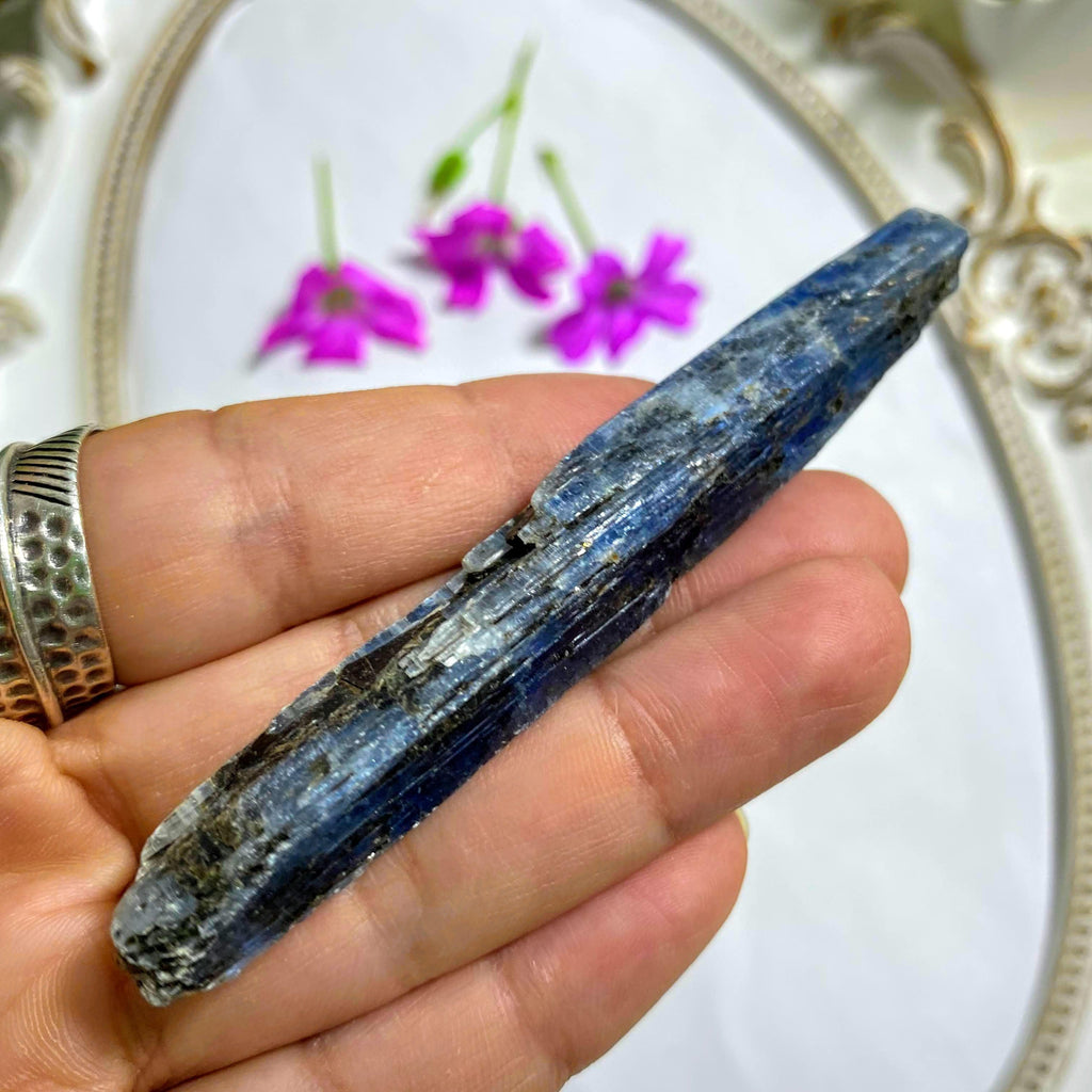 High Grade Gemmy Blue Kyanite Natural  Point ~Locality Zimbabwe #4 - Earth Family Crystals
