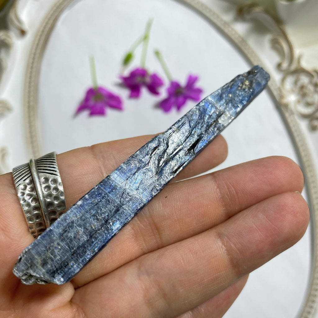 High Grade Gemmy Blue Kyanite Natural  Point ~Locality Zimbabwe #4 - Earth Family Crystals
