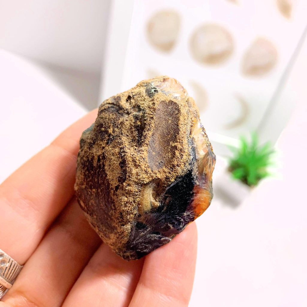 Blue & Golden Raw Sumatra Amber Natural Specimen #2 - Earth Family Crystals