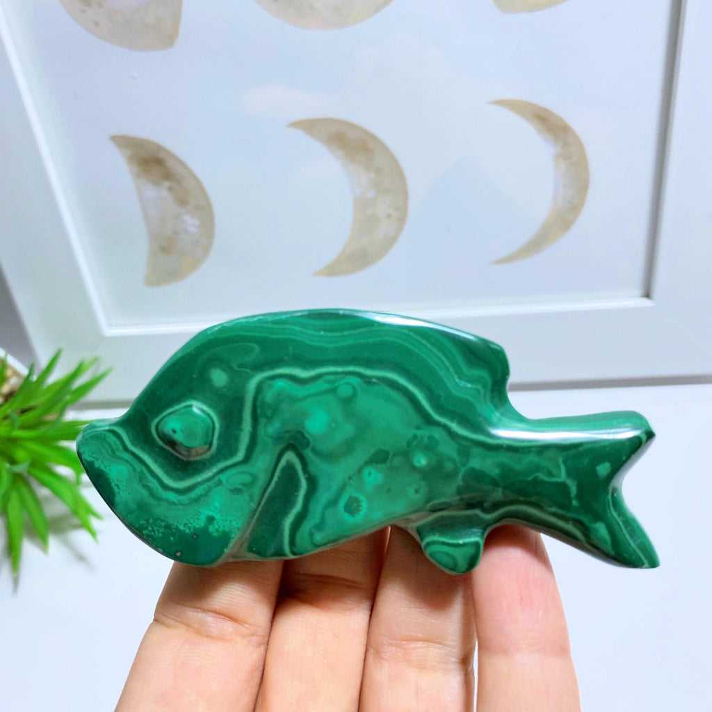 Green Malachite Fish Standing Display Carving #1 - Earth Family Crystals