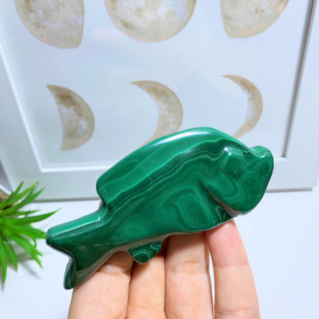 Green Malachite Fish Standing Display Carving #1 - Earth Family Crystals