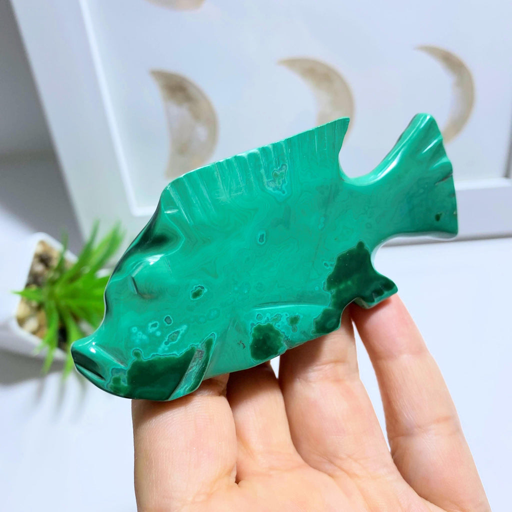 Green Malachite Fish Standing Display Carving #2 - Earth Family Crystals