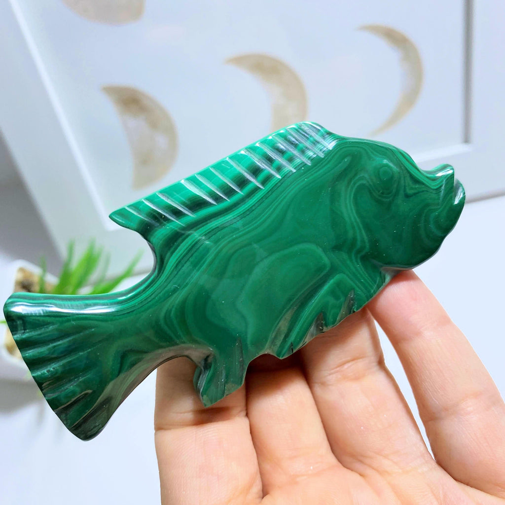 Green Malachite Fish Standing Display Carving #2 - Earth Family Crystals